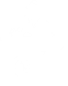 SVH Logo